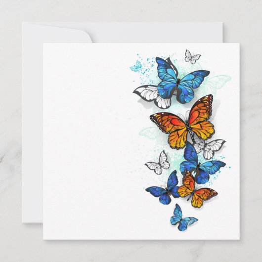 Flying Butterflies Morpho und Monarch Ankündigung (Vorderseite)