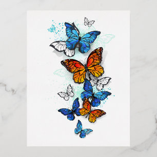 Flying Butterflies Morpho und Monarch Folien Feiertagspostkarte