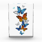Flying Butterflies Morpho und Monarch Fotoblock (Vorderseite)
