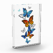 Flying Butterflies Morpho und Monarch Fotoblock (Links)