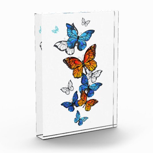 Flying Butterflies Morpho und Monarch Fotoblock (Links)
