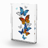 Flying Butterflies Morpho und Monarch Fotoblock (Rechts)