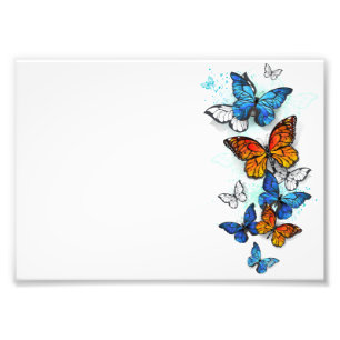 Flying Butterflies Morpho und Monarch Fotodruck