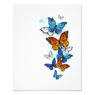 Flying Butterflies Morpho und Monarch Fotodruck