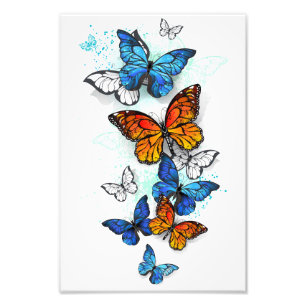 Flying Butterflies Morpho und Monarch Fotodruck