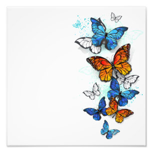 Flying Butterflies Morpho und Monarch Fotodruck