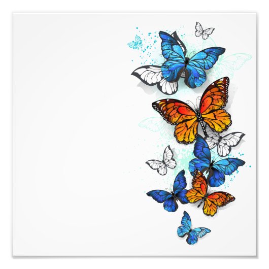Flying Butterflies Morpho und Monarch Fotodruck (Vorne)
