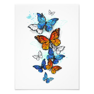 Flying Butterflies Morpho und Monarch Fotodruck