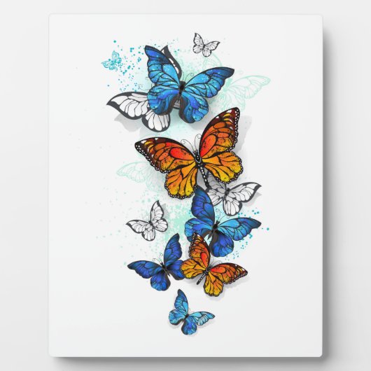 Flying Butterflies Morpho und Monarch Fotoplatte (Vorderseite)