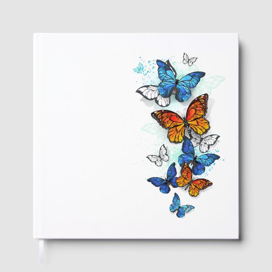 Flying Butterflies Morpho und Monarch Gästebuch (Vorderseite)