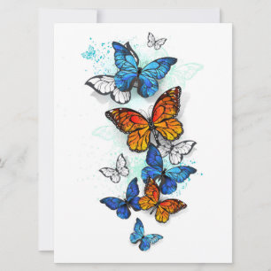 Flying Butterflies Morpho und Monarch Karte