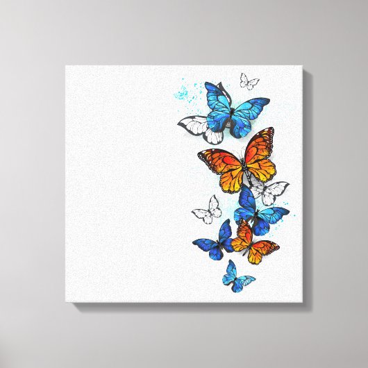 Flying Butterflies Morpho und Monarch Leinwanddruck (Vorderseite)