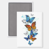 Flying Butterflies Morpho und Monarch Magnet (Vorderseite/Rückseite)