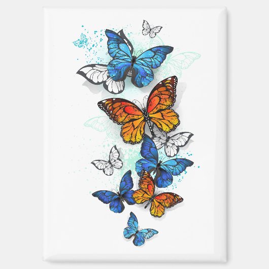 Flying Butterflies Morpho und Monarch Magnet (Vorderseite)