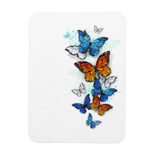 Flying Butterflies Morpho und Monarch Magnet