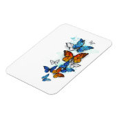 Flying Butterflies Morpho und Monarch Magnet (Linke Seite)