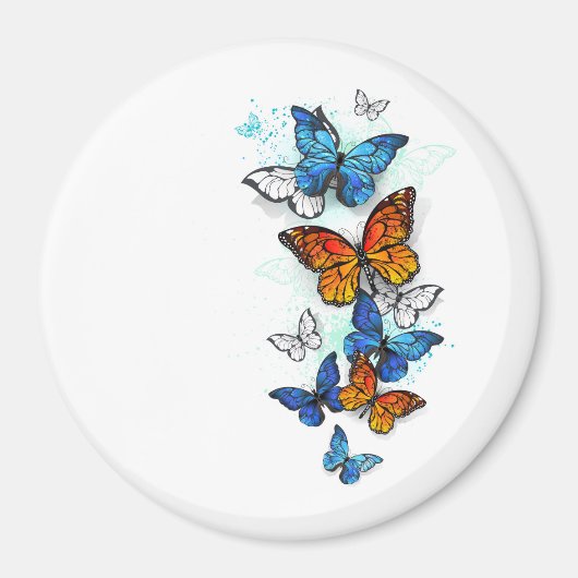 Flying Butterflies Morpho und Monarch Magnet (Vorne)