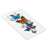 Flying Butterflies Morpho und Monarch Magnet (Rechte Seite)