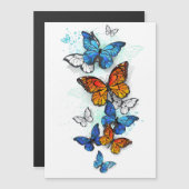 Flying Butterflies Morpho und Monarch Magneteinladung (Vorne/Hinten)
