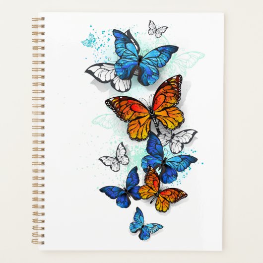 Flying Butterflies Morpho und Monarch Planer (Vorderseite)
