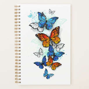 Flying Butterflies Morpho und Monarch Planer