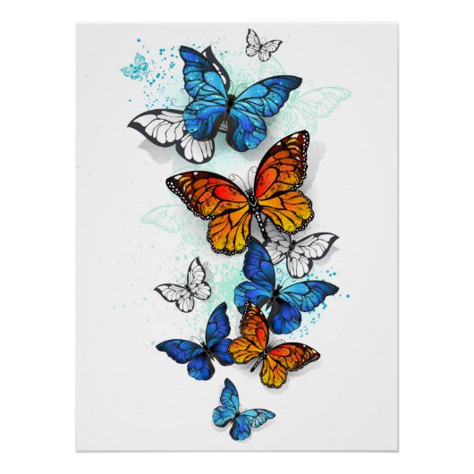 Flying Butterflies Morpho und Monarch Poster (Vorderseite)