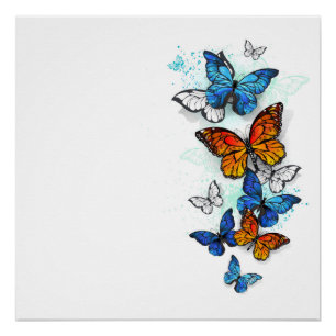 Flying Butterflies Morpho und Monarch Poster