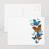 Flying Butterflies Morpho und Monarch Postkarte (Vorne/Hinten)