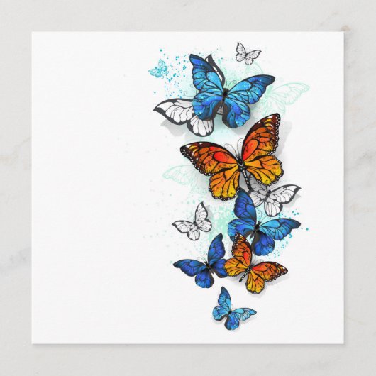 Flying Butterflies Morpho und Monarch Programm (Vorderseite)