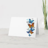 Flying Butterflies Morpho und Monarch Programm (Vorderseite)
