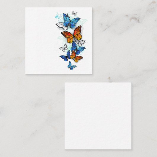 Flying Butterflies Morpho und Monarch Quadratische Visitenkarte (Vorne/Hinten)