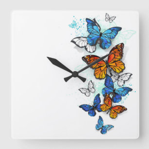 Flying Butterflies Morpho und Monarch Quadratische Wanduhr