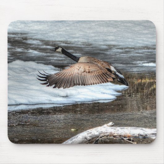 Flying Canada Gans, Pond & Snow Wildlife Foto Mousepad (Vorne)