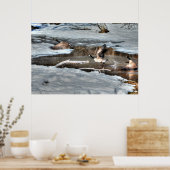 Flying Canada Gänse and Winter Pond Wildlife Poster (Küche)