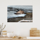 Flying Canada Gänse and Winter Pond Wildlife Poster (Küche)