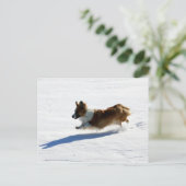Flying Cardigan Welsh Corgi Postkarte (Stehend Vorderseite)