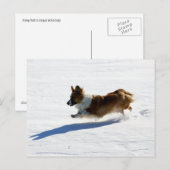Flying Cardigan Welsh Corgi Postkarte (Vorne/Hinten)