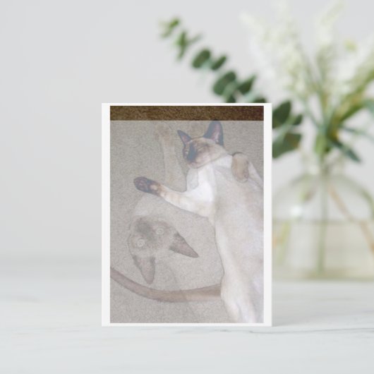 Flying Cats Postkarte (Stehend Vorderseite)