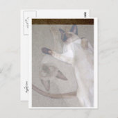 Flying Cats Postkarte (Vorne/Hinten)