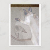 Flying Cats Postkarte (Vorderseite)