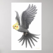 Flying Cockatiel Parrot Poster (Vorne)