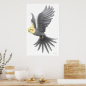 Flying Cockatiel Parrot Poster (Küche)