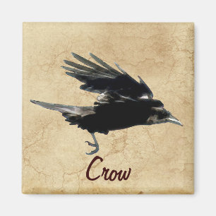 Flying Crow Birdlover Wildlife Supporter Magnet
