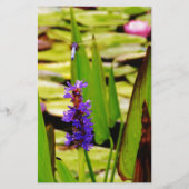 Flying Dragonfly Briefpapier (Vorderseite)