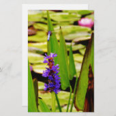 Flying Dragonfly Briefpapier (Vorne/Hinten)