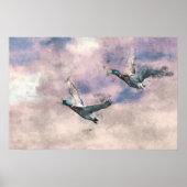 Flying Ducks Poster (Vorne)