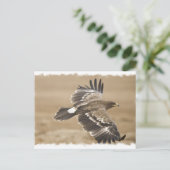 Flying Eagle Bird Postcard Postkarte (Stehend Vorderseite)