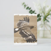 Flying Eagle Bird Postcard Postkarte (Stehend Vorderseite)