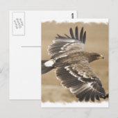 Flying Eagle Bird Postcard Postkarte (Vorne/Hinten)