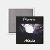 Flying Eagle Magnet (Vorderseite/Rückseite)